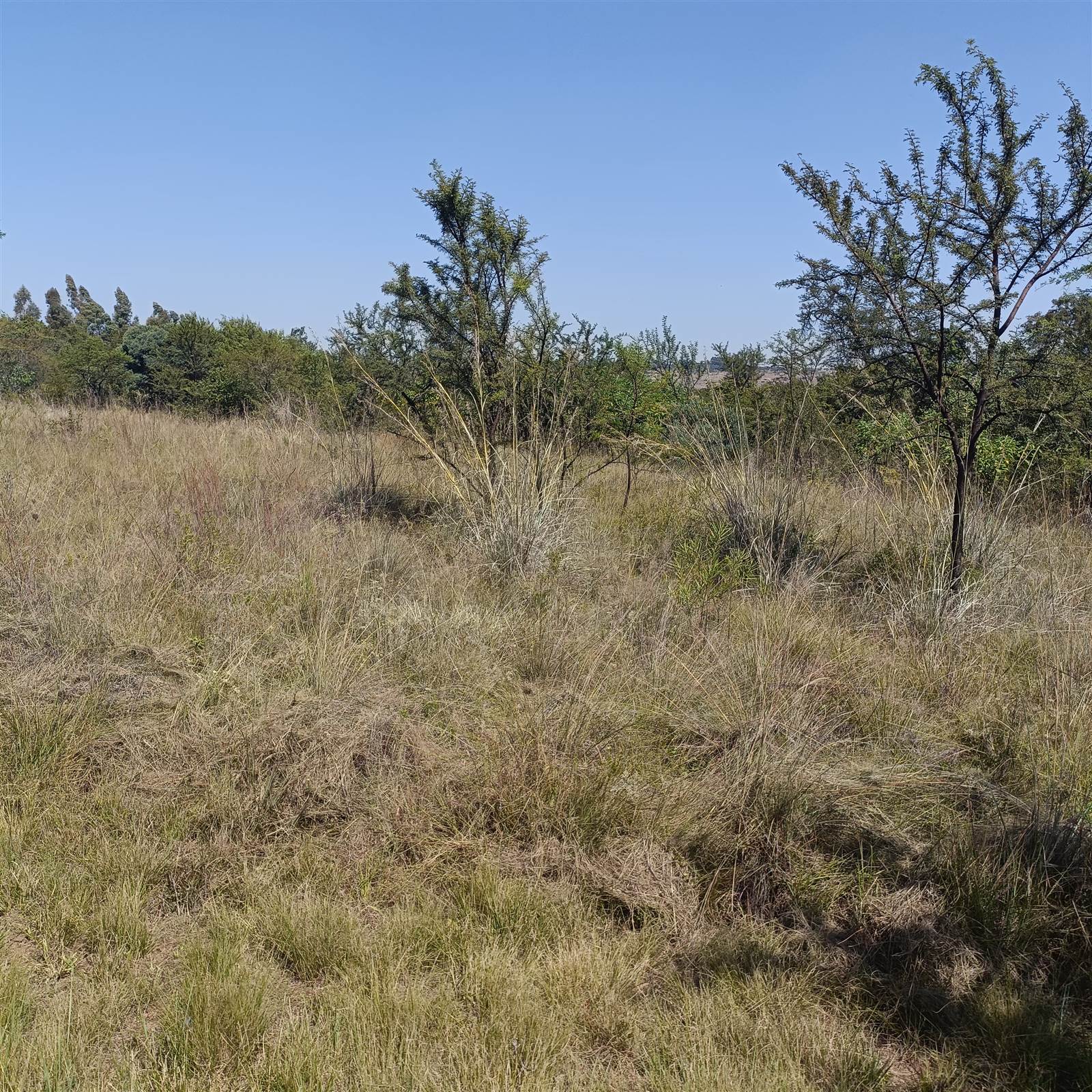 4.5 ha Land available in Cullinan and Surrounds photo number 22