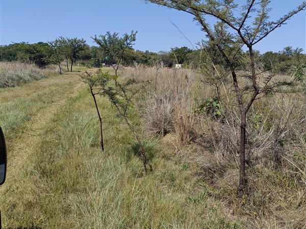 4.5 ha Land available in Cullinan and Surrounds