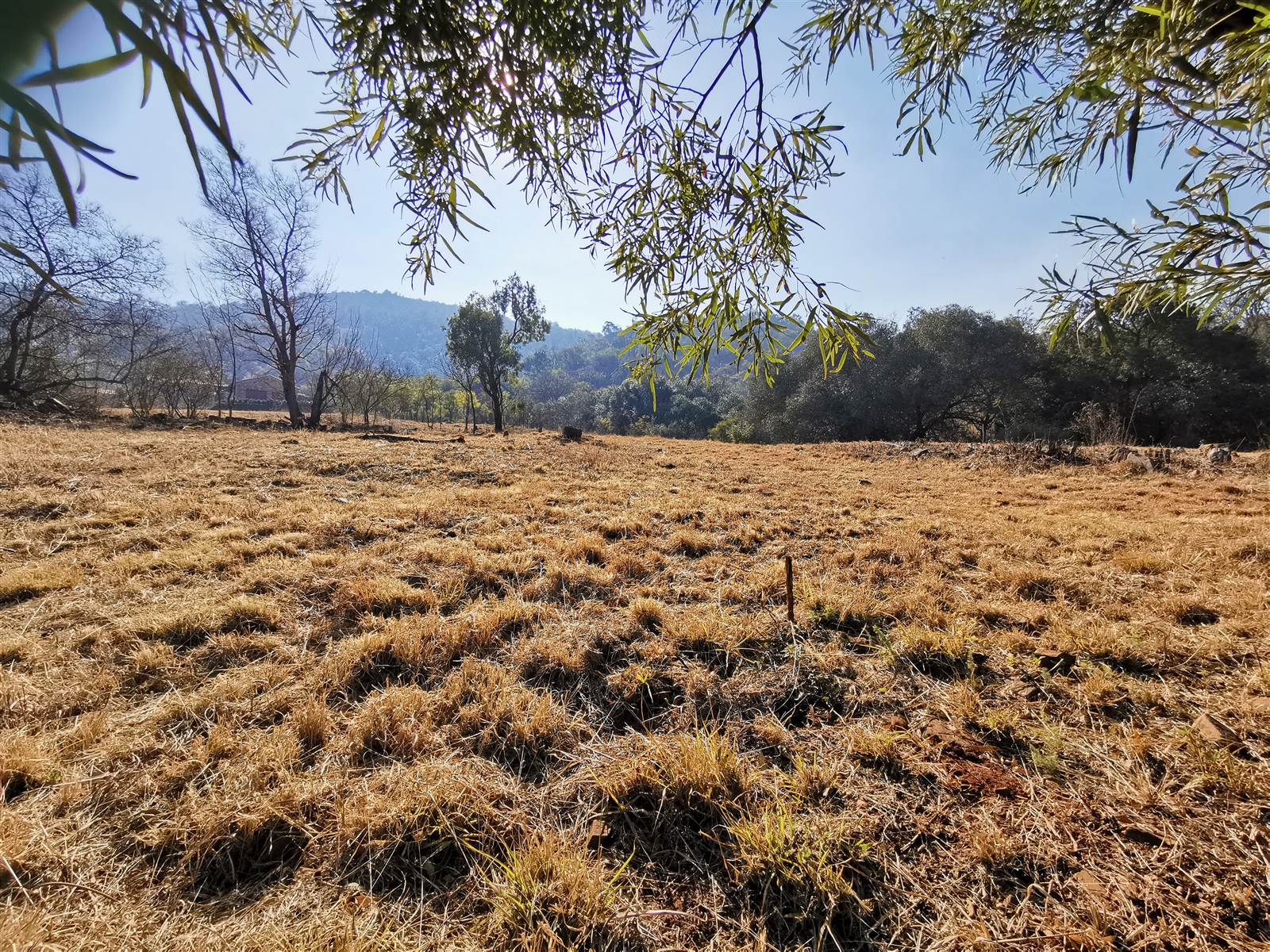 1175 m² Land available in Broederstroom photo number 9