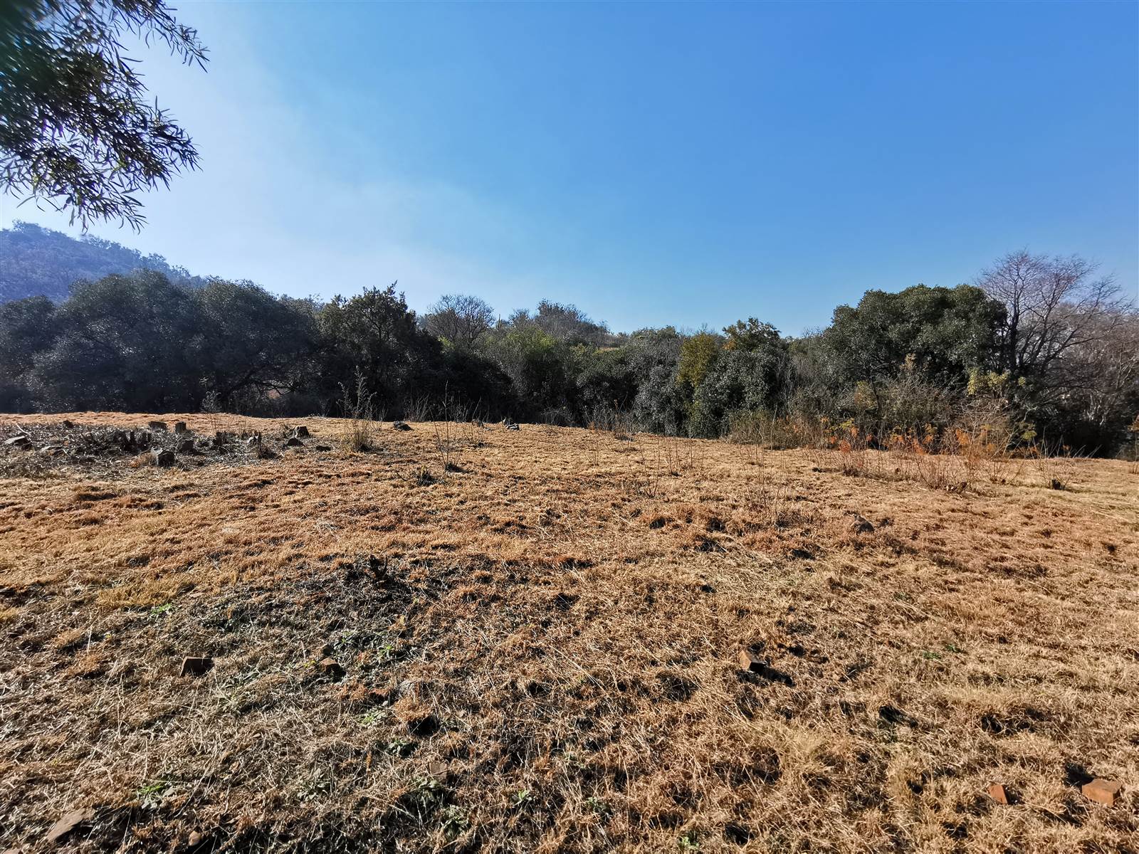 1175 m² Land available in Broederstroom photo number 7