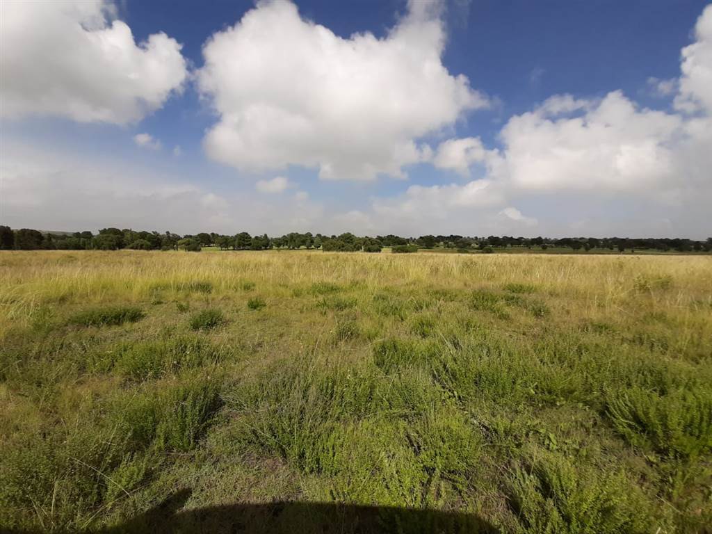 40 ha Land available in Evander photo number 4