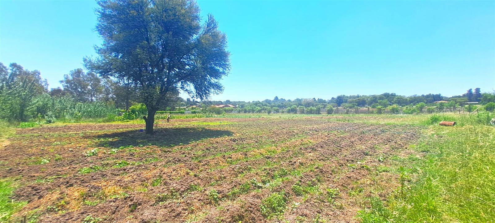1 ha Land available in Mnandi AH photo number 1