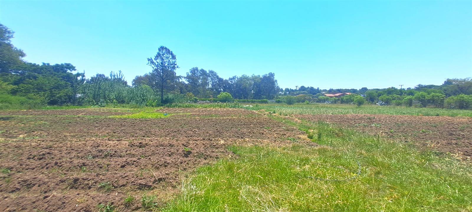 1 ha Land available in Mnandi AH photo number 4