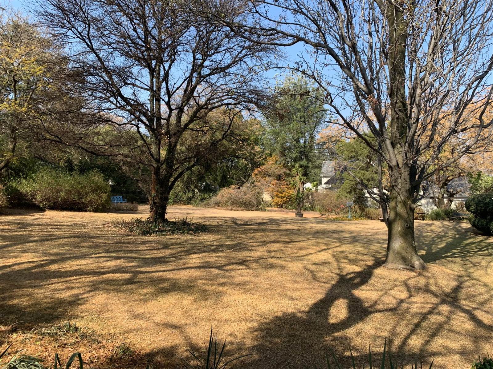 570 m² Land available in Bryanston photo number 14