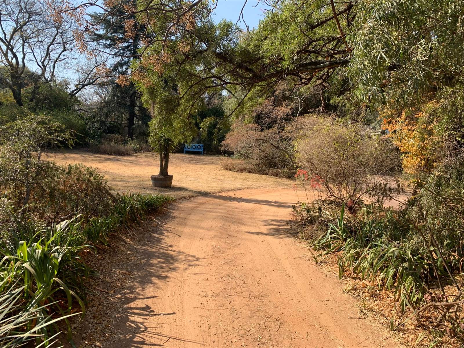 570 m² Land available in Bryanston photo number 8