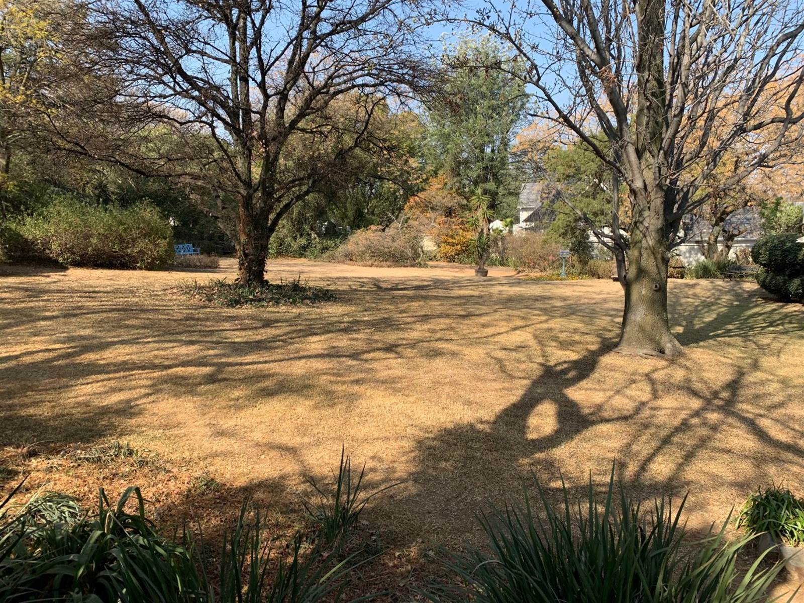 570 m² Land available in Bryanston photo number 13