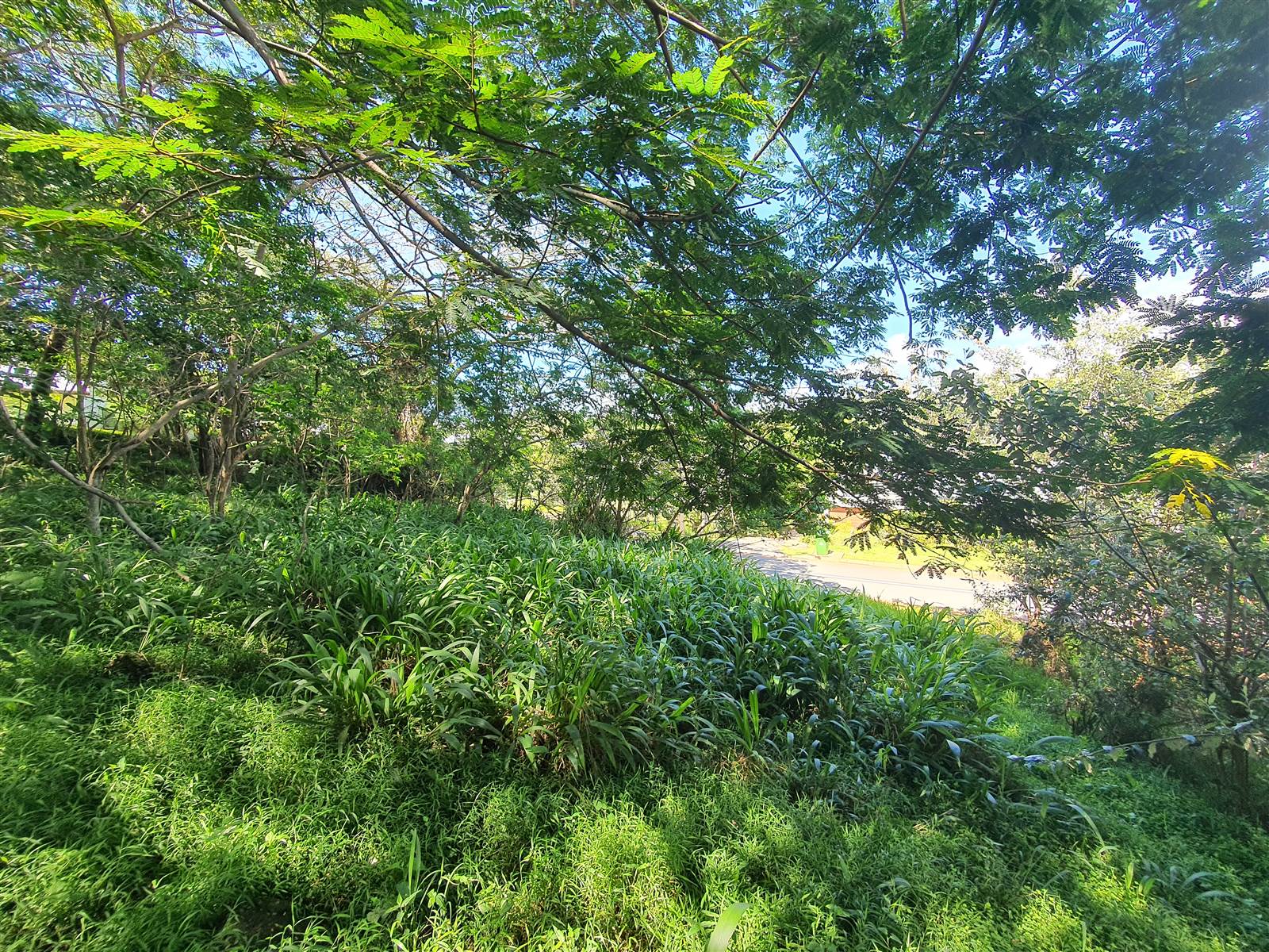 1345 m² Land available in Simbithi Estate photo number 9