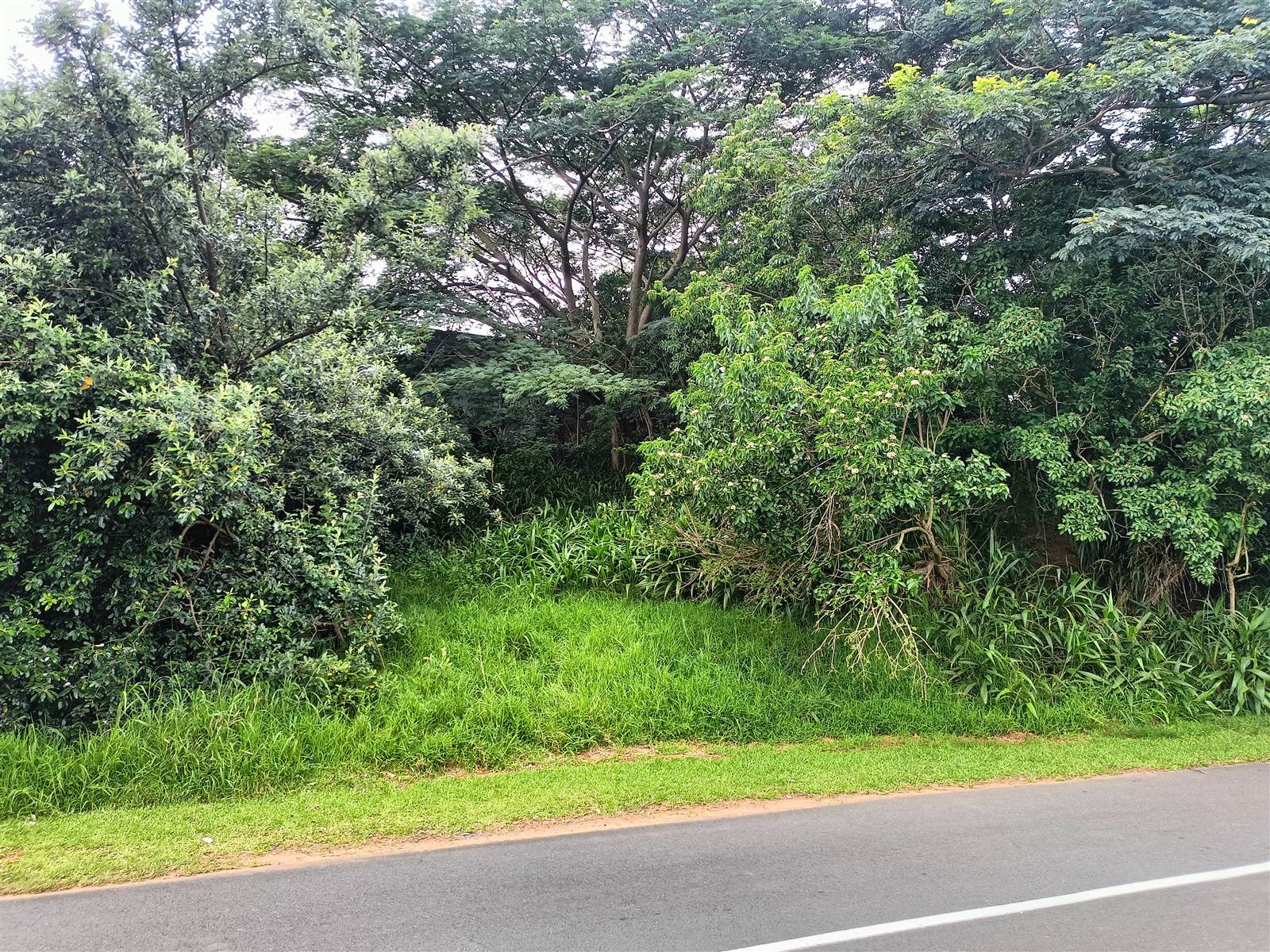 1345 m² Land available in Simbithi Estate photo number 7