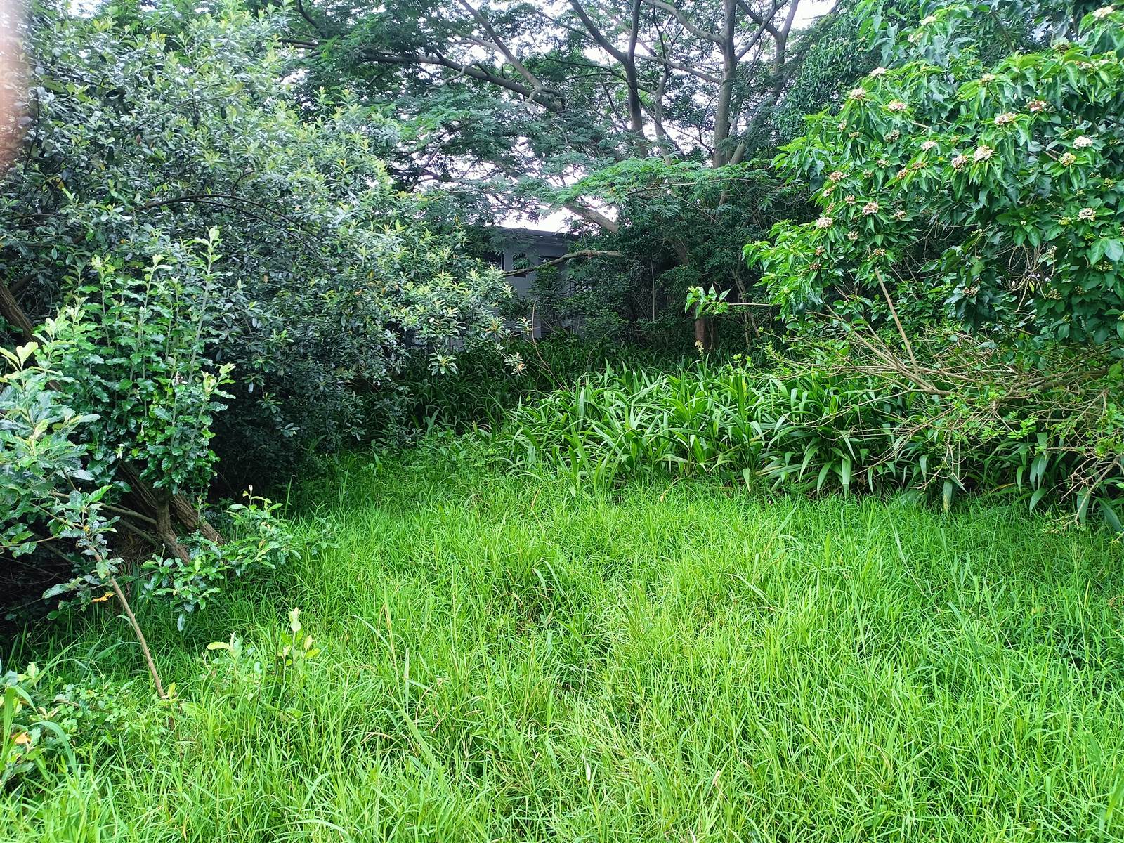 1345 m² Land available in Simbithi Estate photo number 17