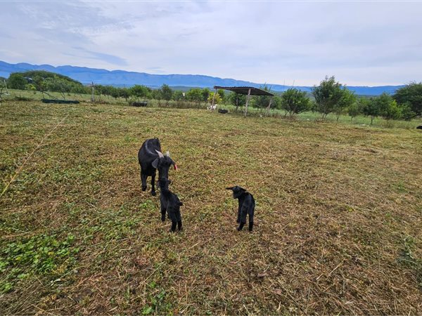 1 ha Farm 1 ha Farm