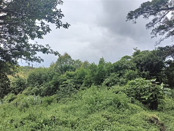 3.6 ha Land available in Clansthal