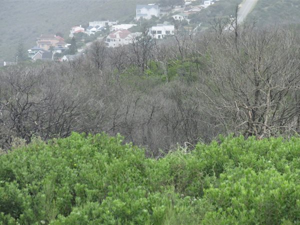 640 m² Land available in Brenton on Sea