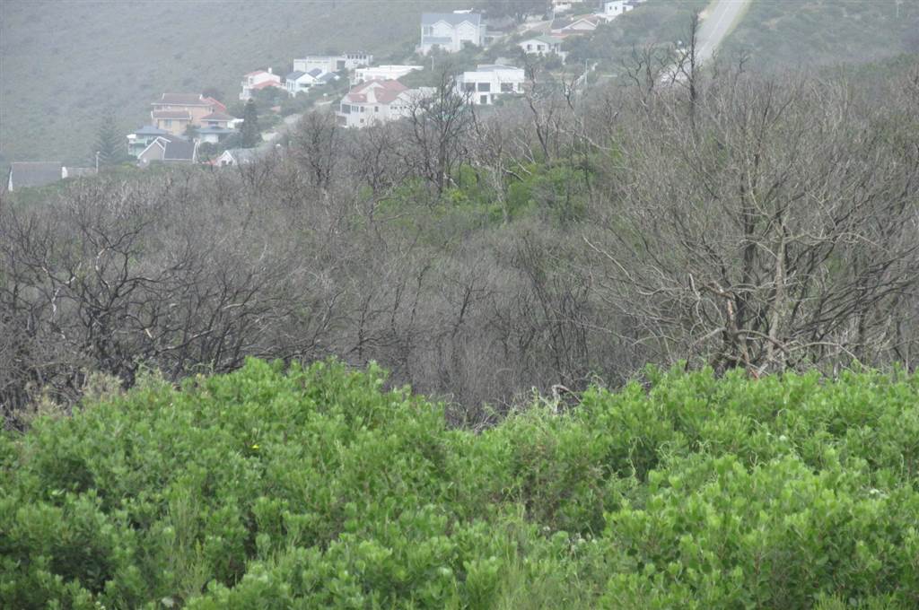 640 m² Land available in Brenton on Sea photo number 1