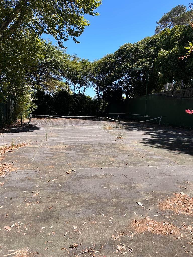 1458 m² Land available in Bishopscourt photo number 7