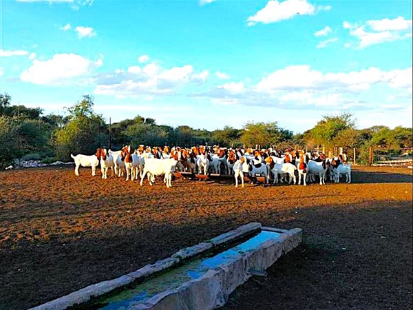 1 895 ha Farm