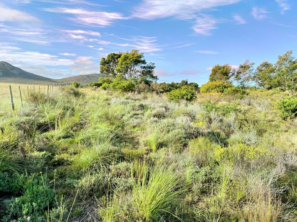 27.6 ha Land available in Humansdorp photo number 7