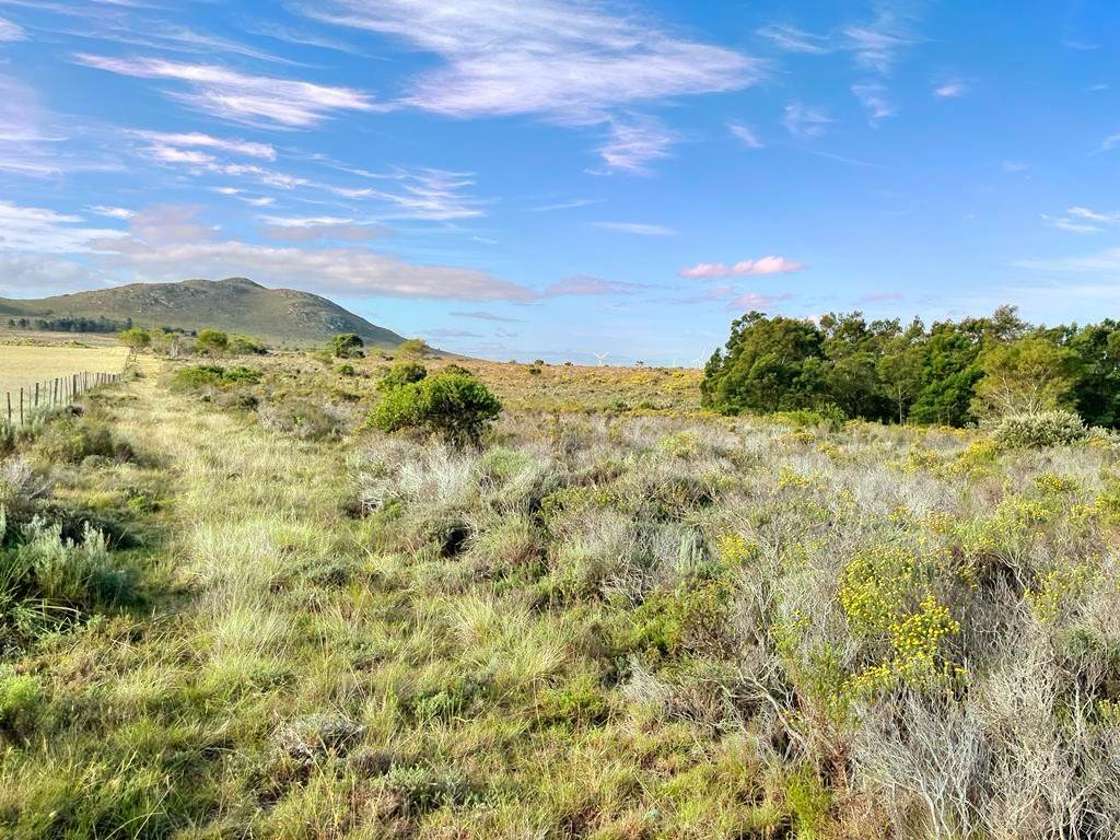 27.6 ha Land available in Humansdorp photo number 4