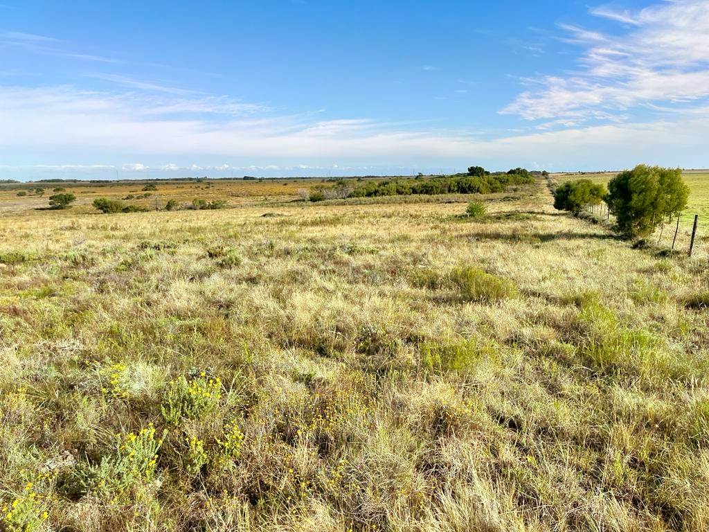 27.6 ha Land available in Humansdorp photo number 10