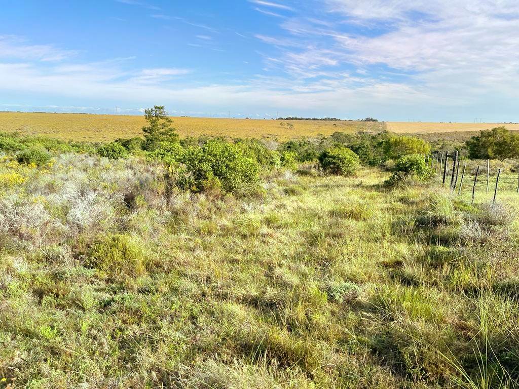 27.6 ha Land available in Humansdorp photo number 5