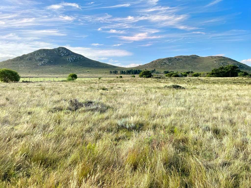 27.6 ha Land available in Humansdorp photo number 9
