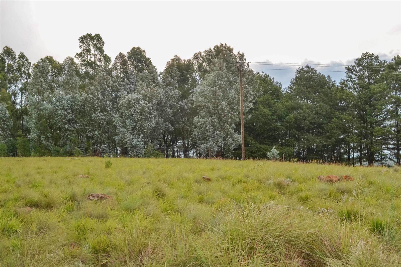 2748 m² Land available in Underberg photo number 5