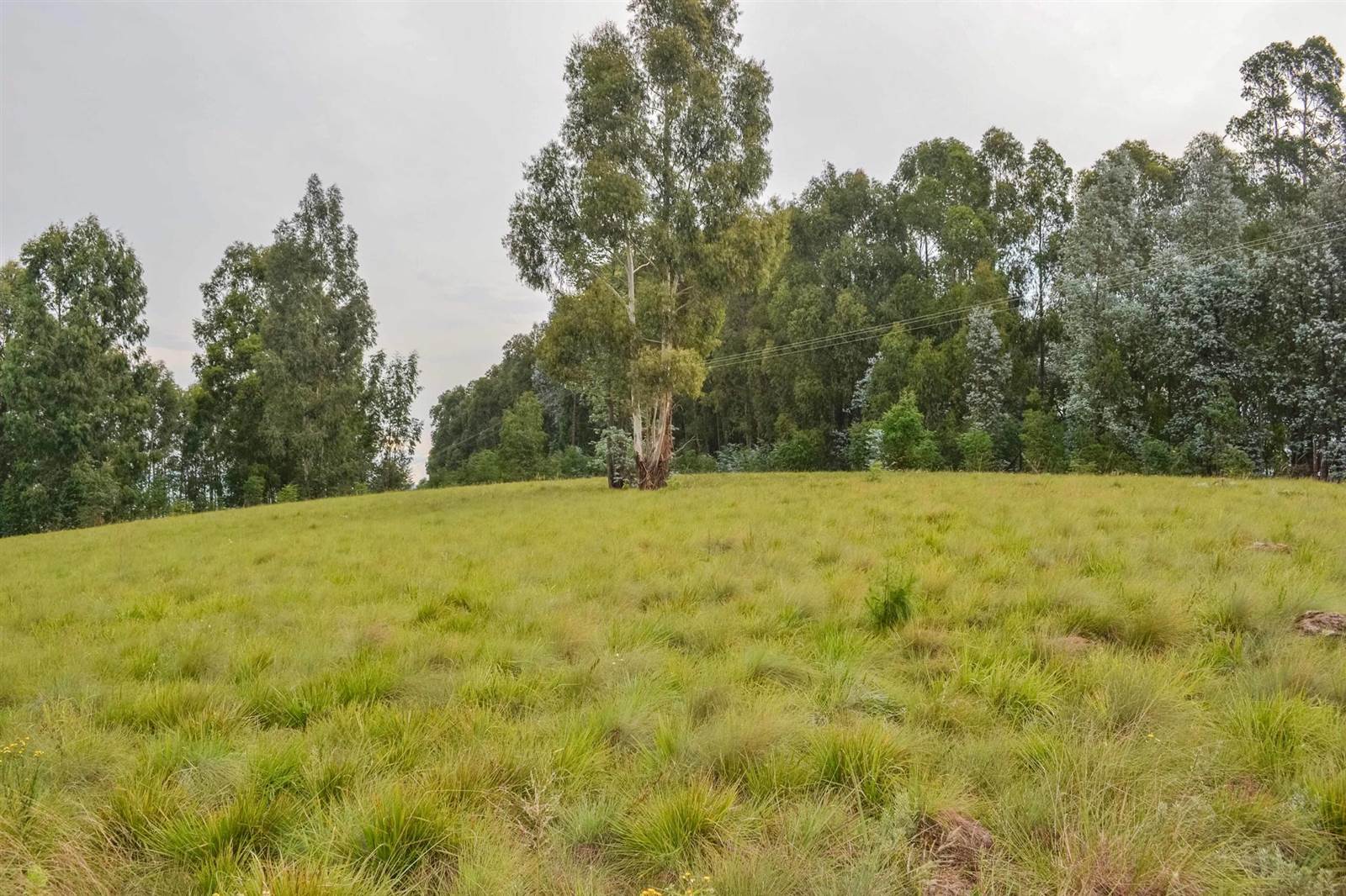 2748 m² Land available in Underberg photo number 4
