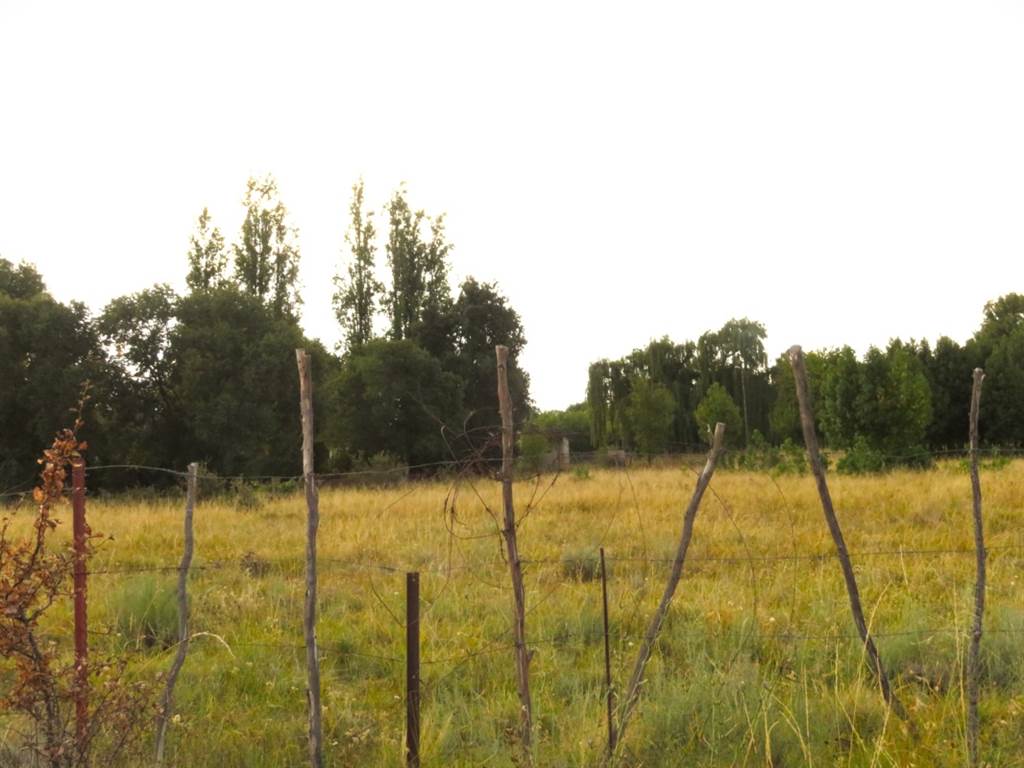 1718 m² Land available in Fouriesburg photo number 3