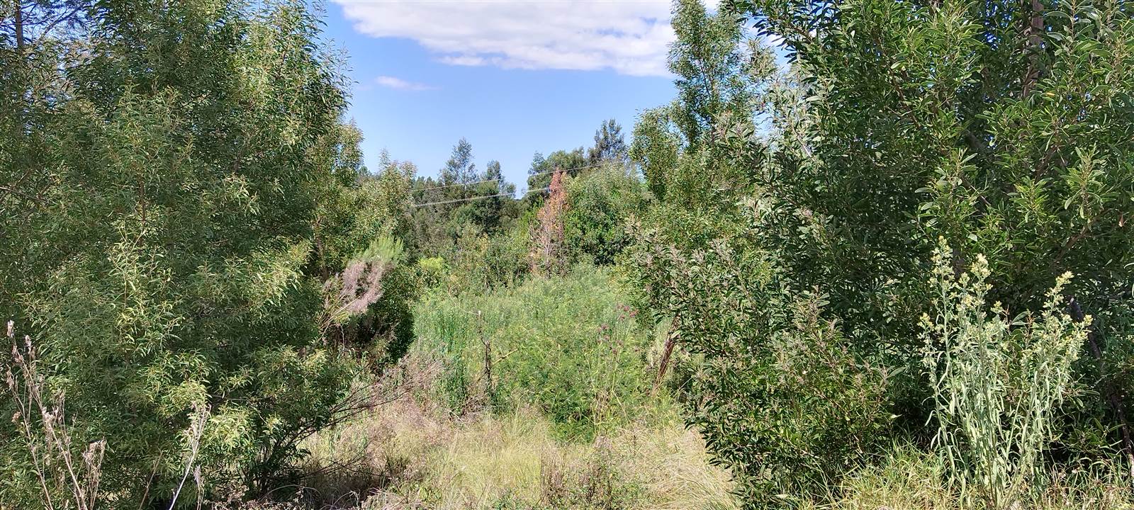 656 m² Land available in Great Brak River photo number 8