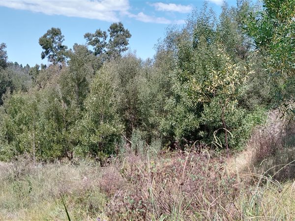 656 m² Land available in Great Brak River