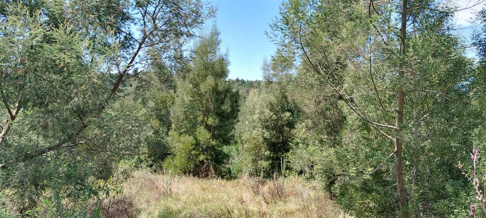 656 m² Land available in Great Brak River photo number 7