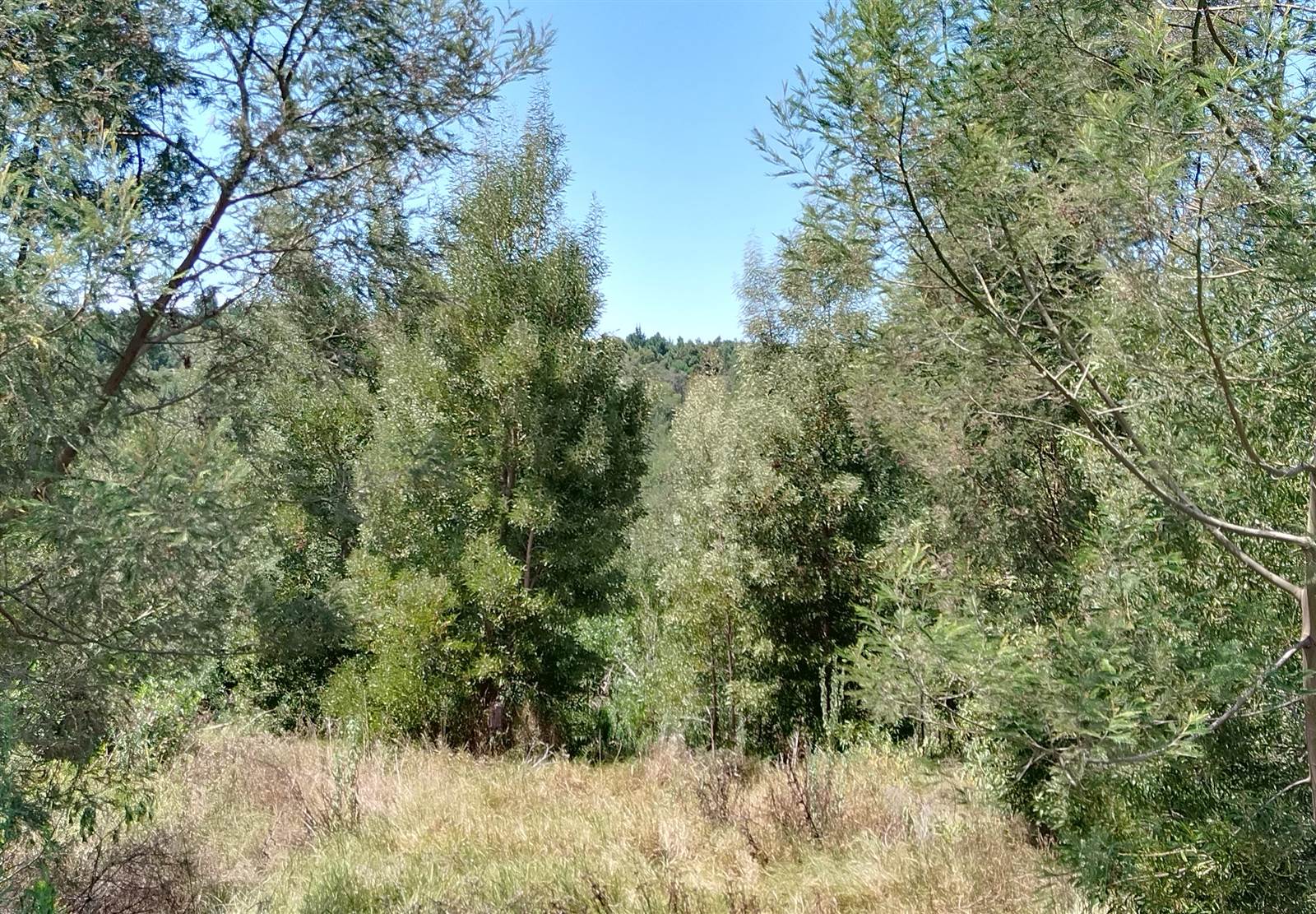 656 m² Land available in Great Brak River photo number 12