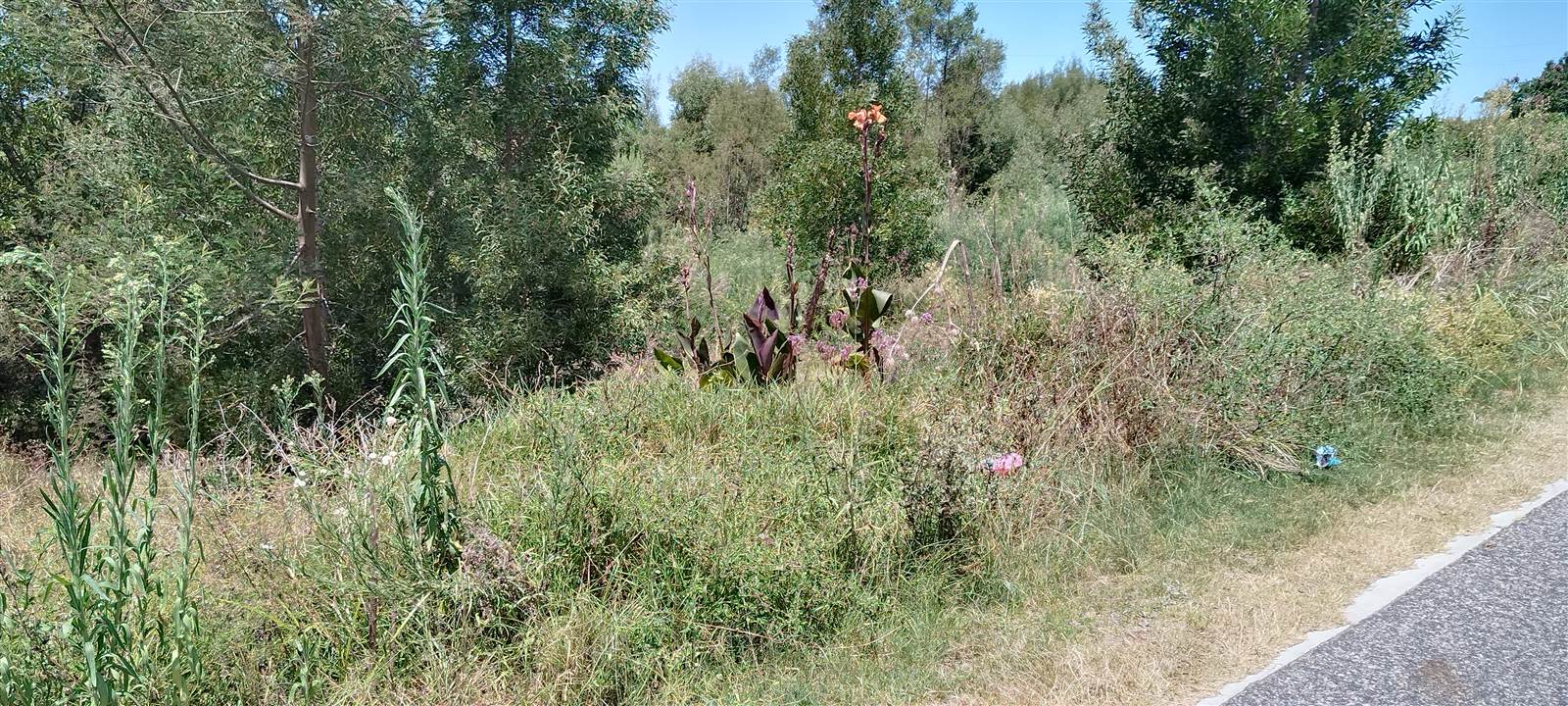 656 m² Land available in Great Brak River photo number 6