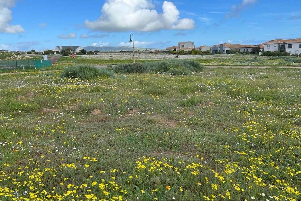 761 m² Land available in Langebaan Country Estate photo number 12