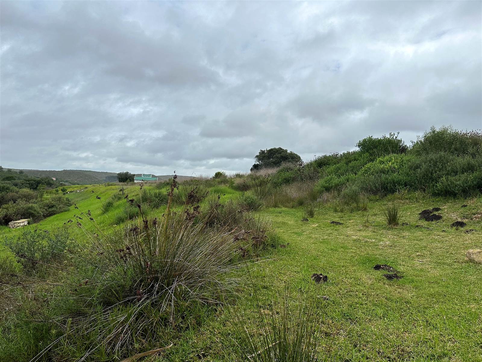 592 m² Land available in Stilbaai photo number 6
