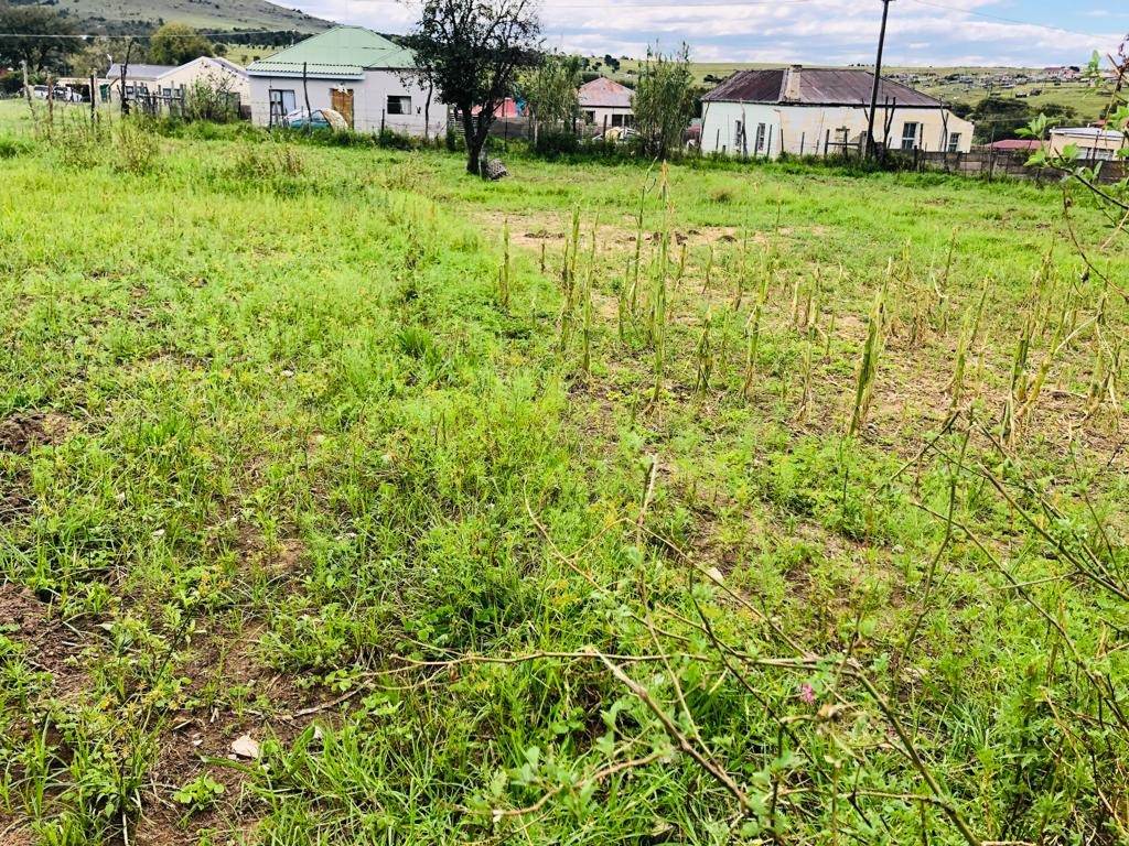 793 m² Land available in Cathcart photo number 5
