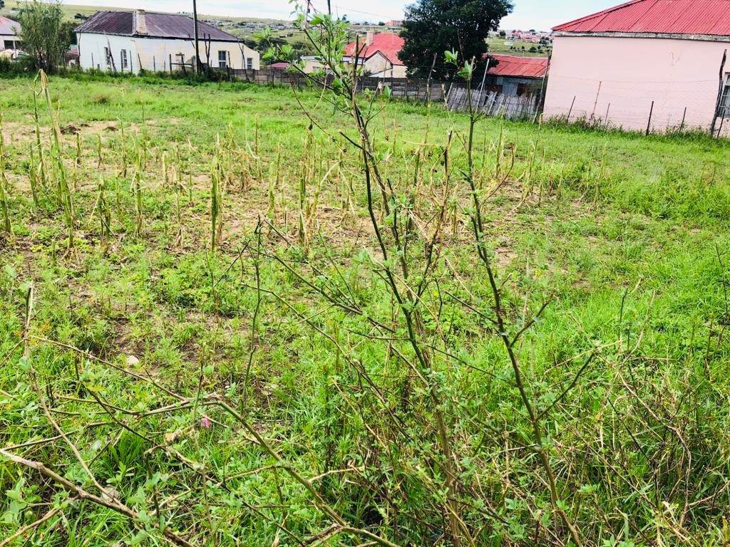 793 m² Land available in Cathcart photo number 4