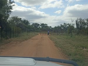 8.6 ha Farm in Bultfontein AH
