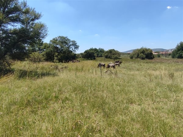 1267 m² Land available in Melodie