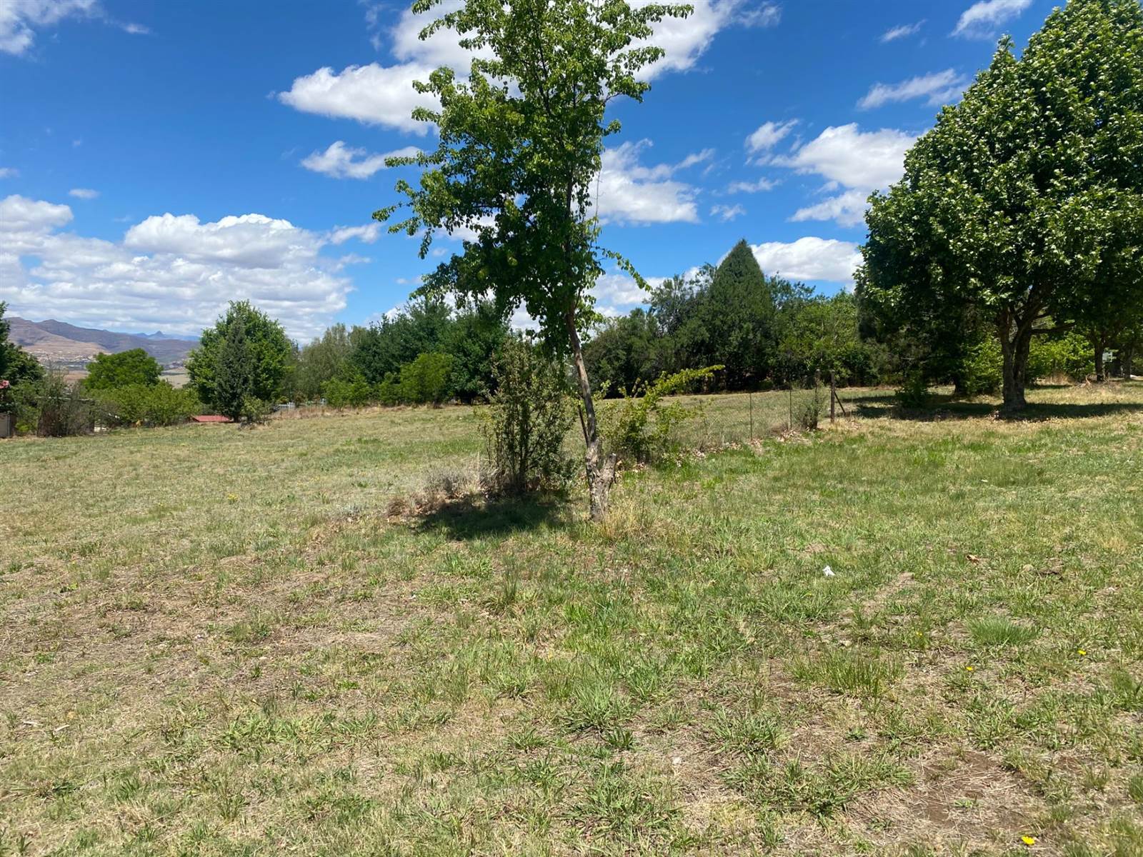 2710 m² Land available in Clarens photo number 4
