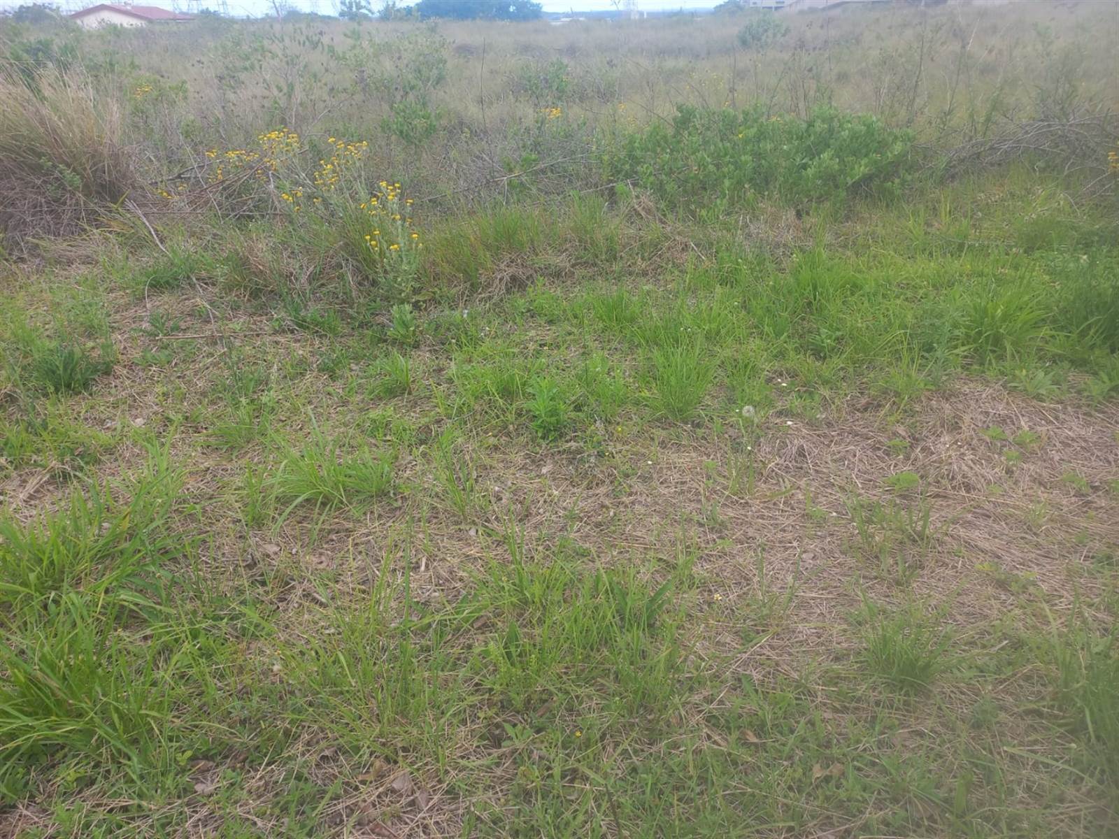4712 m² Land available in Richards Bay Central photo number 2