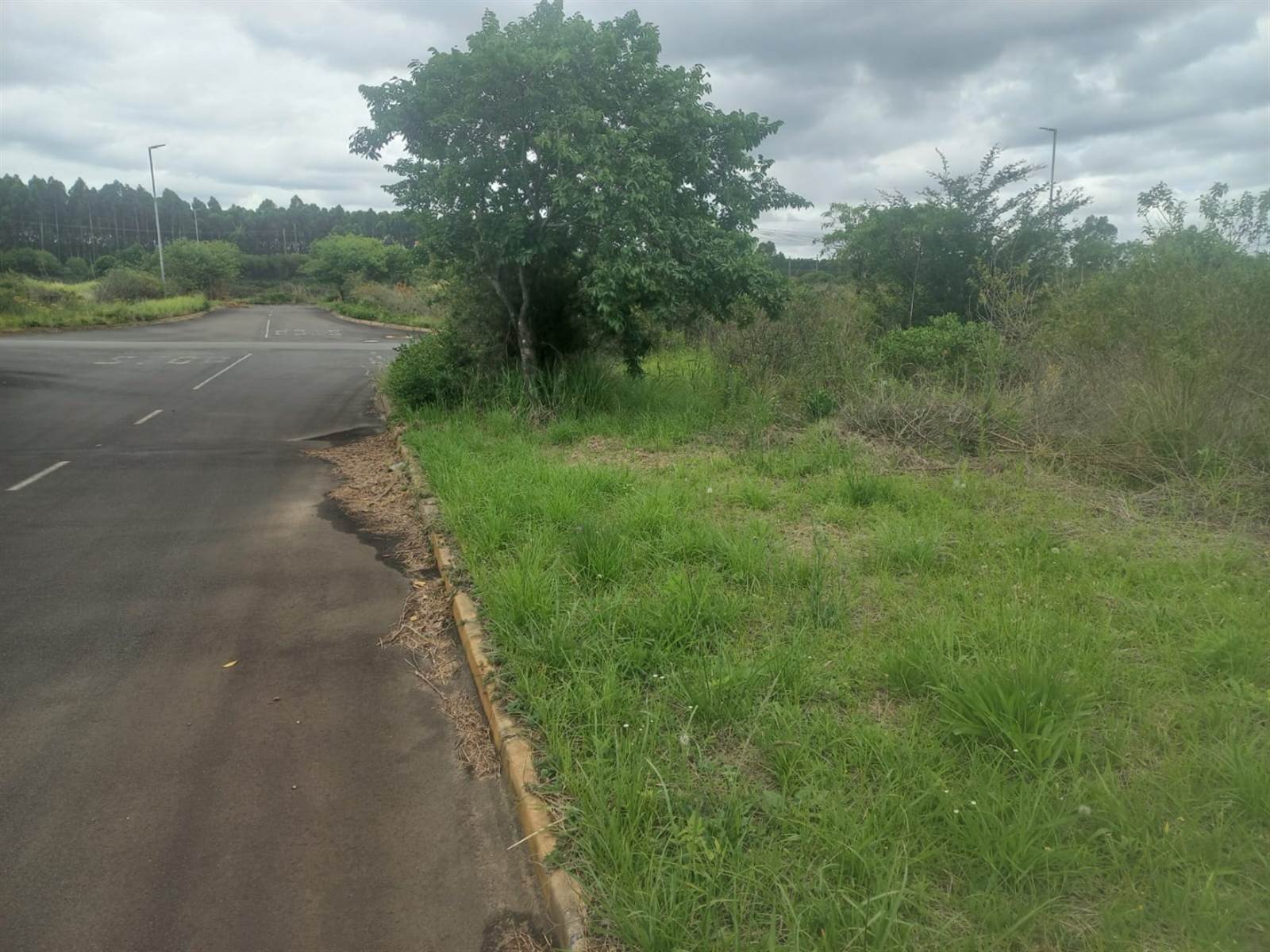 4712 m² Land available in Richards Bay Central photo number 4
