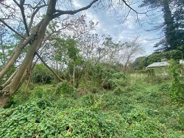921 m² Land available in Umkomaas photo number 6