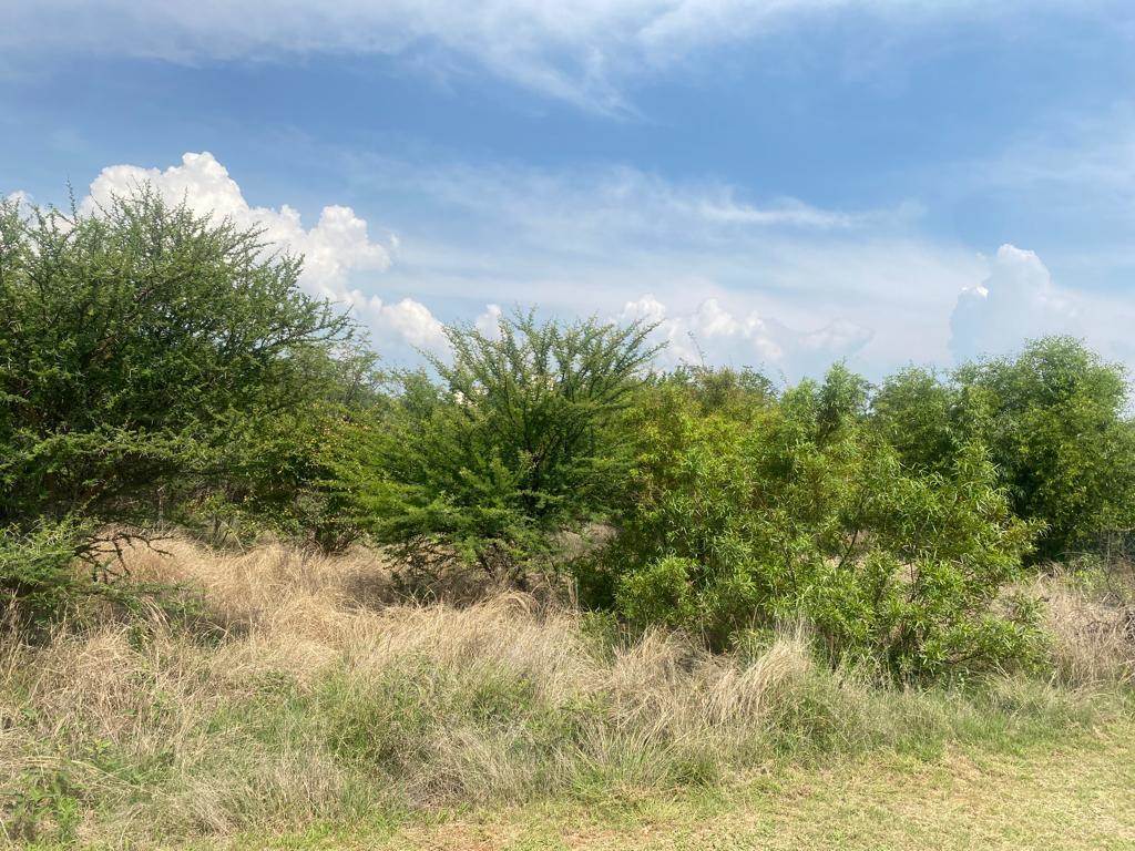 973 m² Land available in Seasons Lifestyle Estate photo number 3