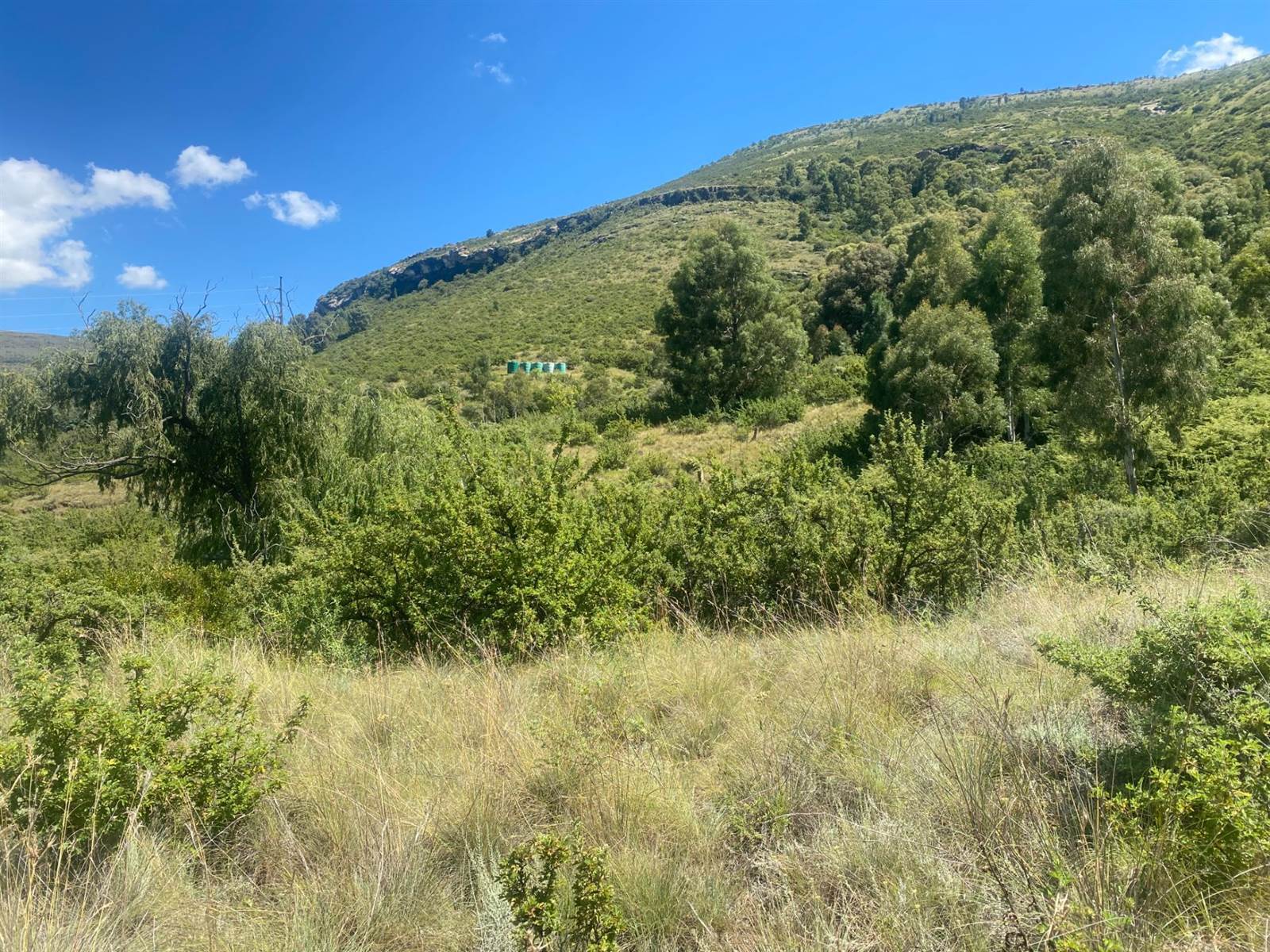 1451 m² Land available in Clarens photo number 3