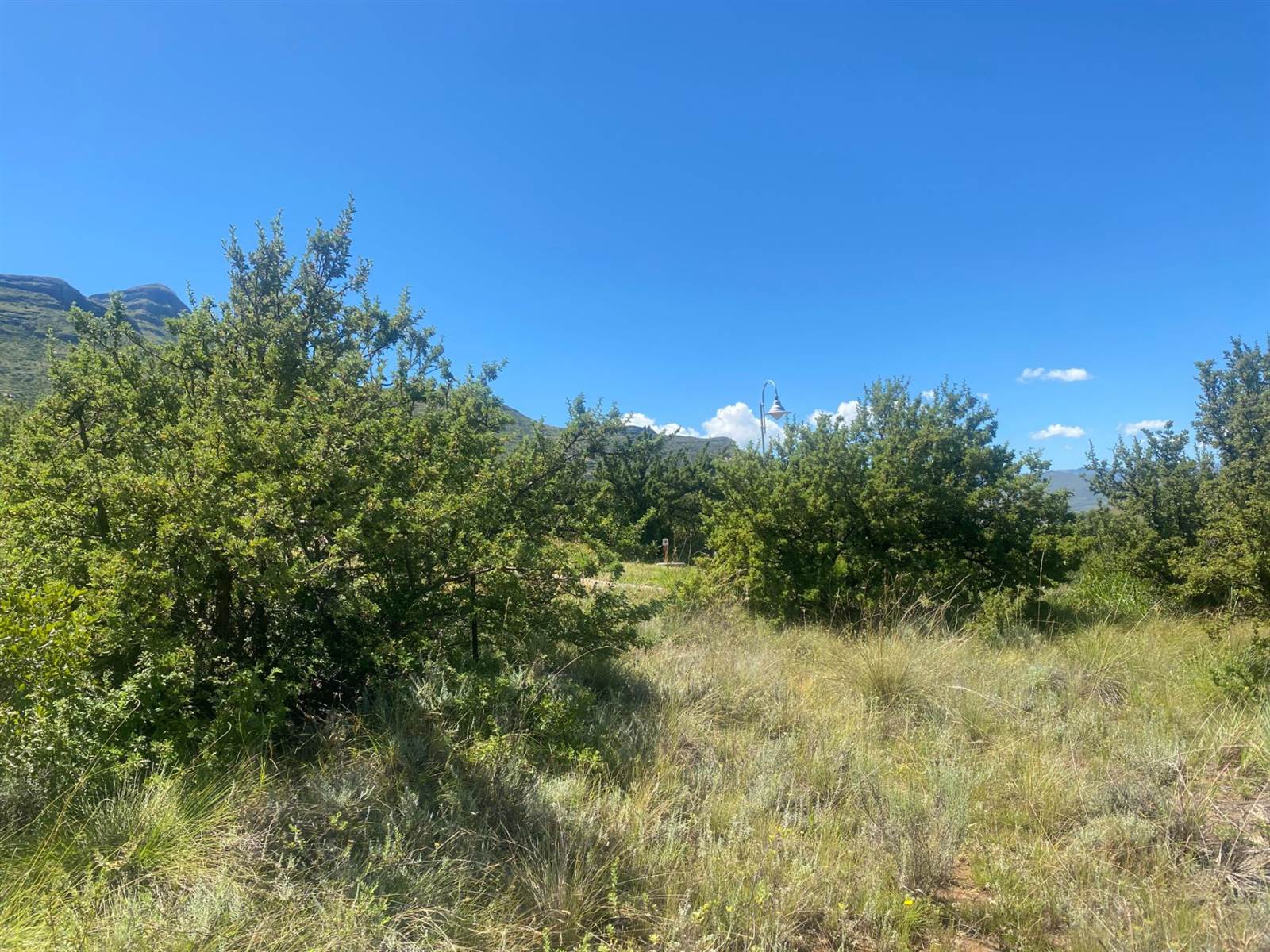 1451 m² Land available in Clarens photo number 5