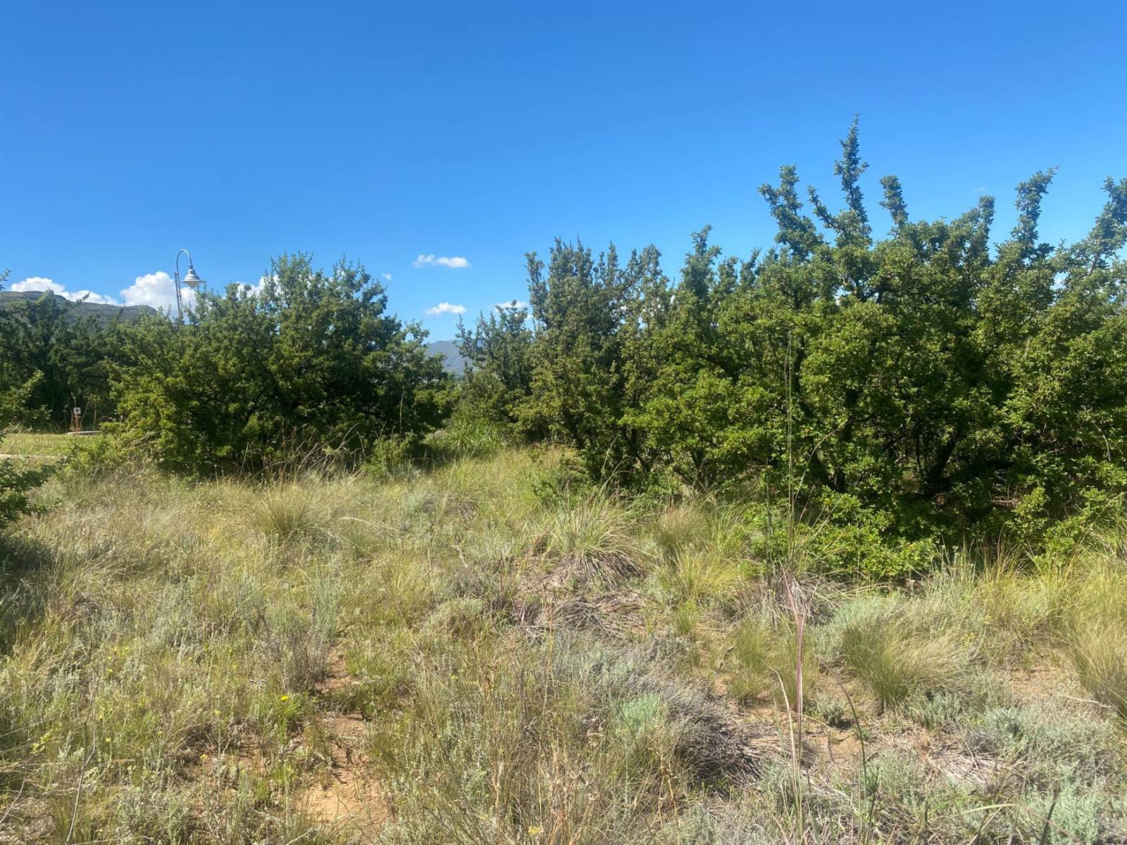 1451 m² Land available in Clarens photo number 7