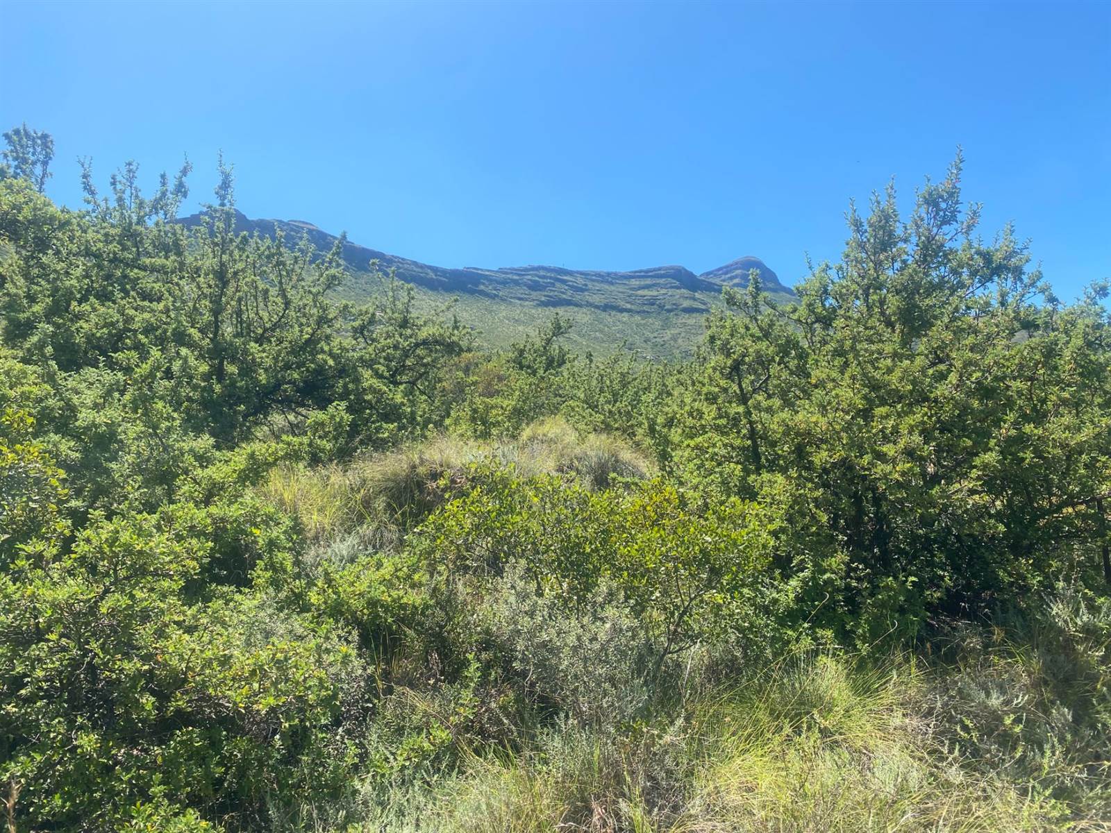 1451 m² Land available in Clarens photo number 6