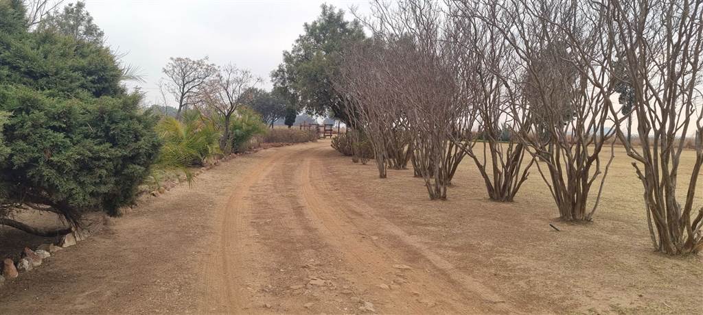21.4 ha Farm in Witbank Central photo number 28