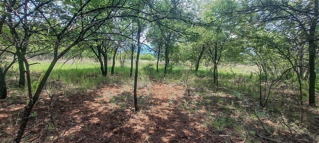 2548 m² Land available in Melodie photo number 4