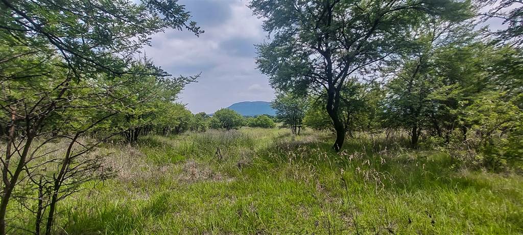 2548 m² Land available in Melodie photo number 6